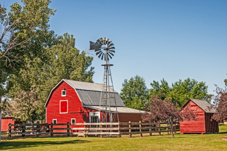 10 Things You Learn on a Farm Image